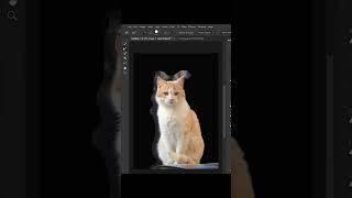 How To Remove Background in Photoshop #shortvideo #ytshorts #photoshop