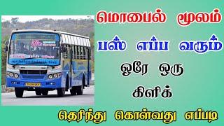 How to Check Bus Time Online in Tamil | Bus Timings Check in Tamil | TMM Tamilan