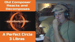 Old Composer REACTS to A Perfect Circle  3 Libras | Decomposing The Nuances