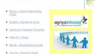 Web development company - Agriya