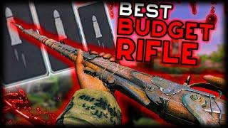 The Best Budget Rifle for Beginners in #huntshowdown