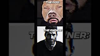 The owner(the dog) credits: rayontheboss (I only edited it a bit)