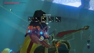 Zelda Breath of the Wild : Sato Koda Shrine  ( Lucky passed )