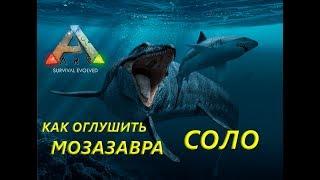 Как в ARK оглушить мозазавра в соло