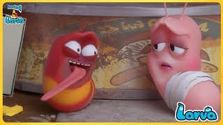 Larva Pink Cartoon Compilation Fun Clips from Animation LARVA Larva Official  Best Cartoon Movie