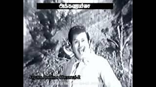 TAMIL OLD--Arasana paartha kannukku--AKKARAI PACHAI 1974--@vMvchannel