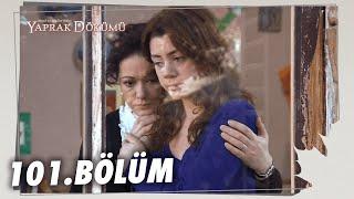 Yaprak Dökümü 101. Bölüm - Full Bölüm