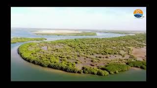 ile du Saloum Commune de Fimela