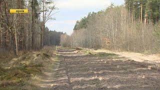 Три авіаудари зазнало село на Рівненщині