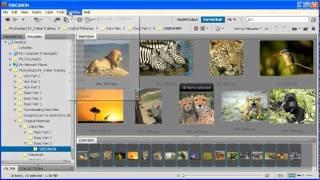 3.1 Creating a Contact Sheet: Adobe Photoshop CS4 Video