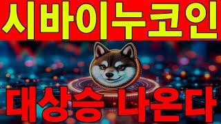 [시바이누코인] 재단 세력의 정보 유출 대상승 나오는 정보 단독공개! #시바이누코인