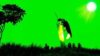 Firefly green screen | firefly light green screen | firefly lightning at night #hrkentertainment