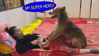 OMG! Kwan stomach pain again and call SUPER HERO KOKO for help