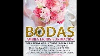 dj animador BODAS 2015 www animatuboda com   Rayvanshow Telf 647679115