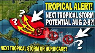 Tropical Storm Imminent Western Atlantic Aug 2-8?!? Impacts East Coast & Gulf Coast? Tropical Update