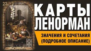 Карты Ленорман. Карта Крысы (23). Значения и сочетания карт.