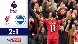 Liverpool dreht Partie! | FC Liverpool - Brighton & Hove Albion | Highlights - Premier League 24/25