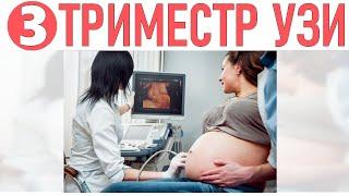 ТРЕТИЙ ТРИМЕСТР БЕРЕМЕННОСТИ | Скрининг 3 триместра как подготовиться к обследованию