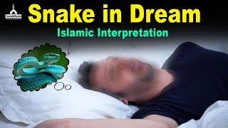 Snake in Dream - Islamic Interpretation