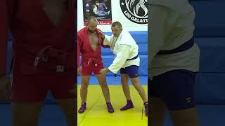 Illegal BJJ/Judo move. KANI BASAMI. Scissor takedown. Sambo academy #Shorts #sambo #judo #bjj