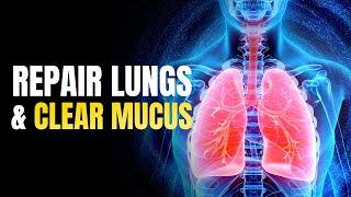 Detox Your Respiratory System | Repair Lungs & Clear Mucus | Enhance Oxygen Breathing | 741 hz