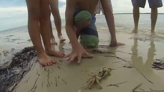 guy pinched by crab