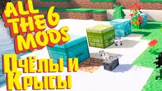 Ресурсные ПЧЁЛЫ и Приручение Крыс #5 - ALL The MODS 6 сборка Minecraft 1.16.5