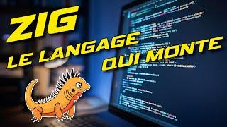 Zig, le langage qui voulait remplacer le C