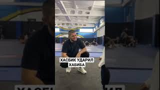 ХАСБИК ударил ХАБИБА?! | Прикол | UFC #shorts