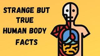 Strange but True Facts about the Human Body