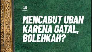 Mencabut Uban karena Gatal, Bolehkah?