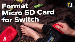 How to Format Micro SD Card for Switch on PC