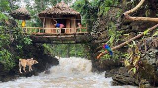 Full video: In 30 days, the girl built a shelter on the cliff and survived alone.