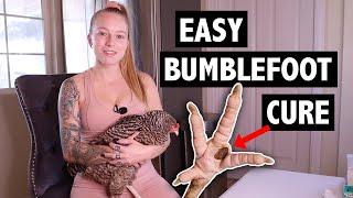 BUMBLEFOOT in CHICKENS - Easy Removal Using PRID Drawing Salve