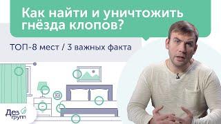 Как вывести клопов и найти гнездо клопов? Обработка | Дезинсекция | Дезинфекция | Дезинфектор