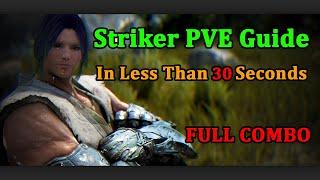 Striker PVE & PVP Guide in less than 30Seconds, Hard Class | Black Desert Online