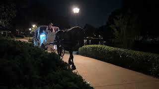 Nighttime Carriage Ride