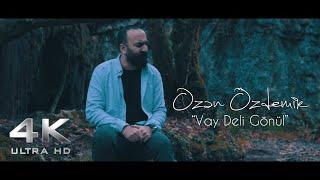 Ozan Özdemir - Vay Deli Gönül  4K