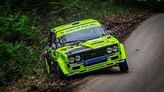 Many Mistakes & Big Show | Rallysprint de Reocin 2024 | RMrallyCAT