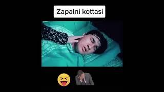 #zapal