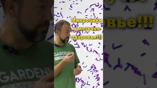 Можно вообще не болеть - мудрые советы!!!  #огород  #башинком #ожз  #биопрепараты