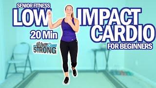 Senior Fitness 20 Min Low Impact Cardio Workout For Beginners 