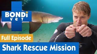  Dr Chris Brown's Shark Rescue Mission | FULL EPISODE | S7E15 | Bondi Vet