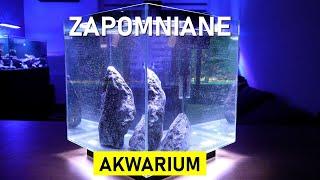 Newa - Zapomniane Akwarium