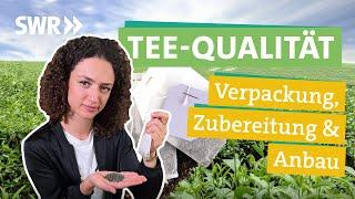 Tee - Pestizide, Anbau, Zubereitung, Beuteltee oder lieber lose? I Ökochecker SWR