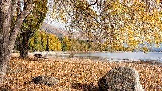 Wanaka things to do, tours and attractions - Must Do New Zealand