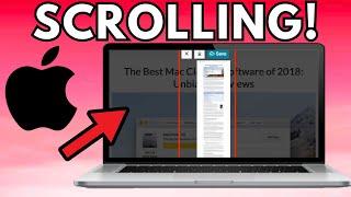 Take a Scrolling Screenshot on Mac or MacBook