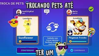 Trocando pets no PK XD!  | Trade pets #9