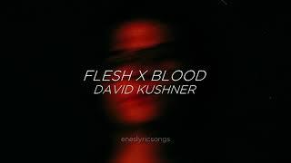 Flesh x Blood - David Kushner (Sub. Español + Inglés)