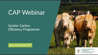 New #CAP Schemes 2023-2027 - Suckler Carbon Efficiency Programme (SCEP) webinar - how to apply, T&Cs